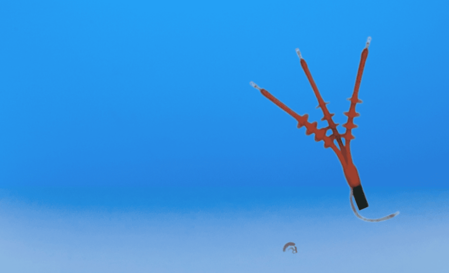 Untitled design (31)